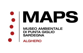 Museo MAPS